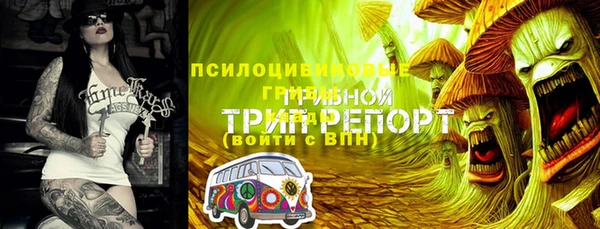 Альфа ПВП Верхнеуральск