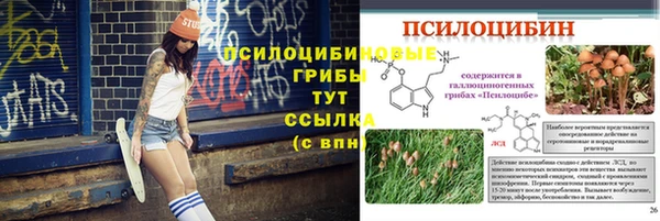 прущая мука Верхний Тагил