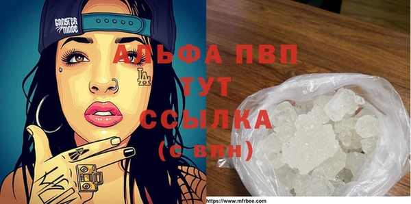 прущие грибы Покровск