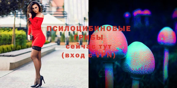 прущая мука Верхний Тагил